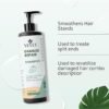 71BsunW8-eL._SX522_ Shampoo, All Hair Types, Nourishing, Repairing, Smoothening, Softening, 200 ml (Damage Repair Shampoo)