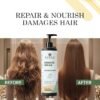 91YJusCPtTL._SX522_ Conditioner| Anti Hair Fall | Frizz-Free | Soothes Dry Scalp| Boosts Hair Growth | All Hair Types | 200 ml (Damage Repair Conditioner)